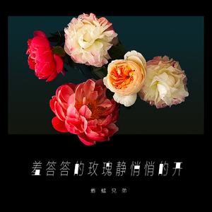 阿部夏树进军暗黑界
